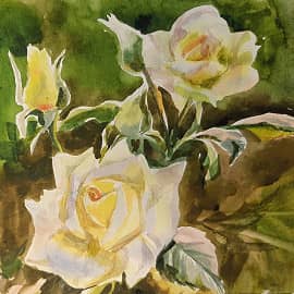 Розы в саду. Свет