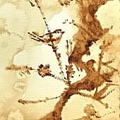 Кофейная птичка