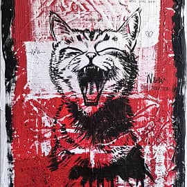 Красное и белое. Кот