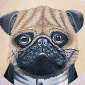 Аристократ Игорь