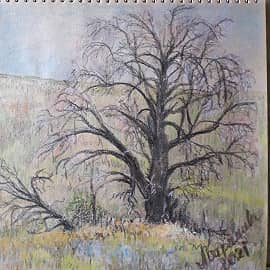 Мертвое дерево