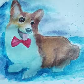 Вельш-корги