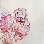 Экзотическая рыбка розовая