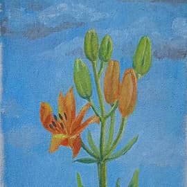 Первая лилия