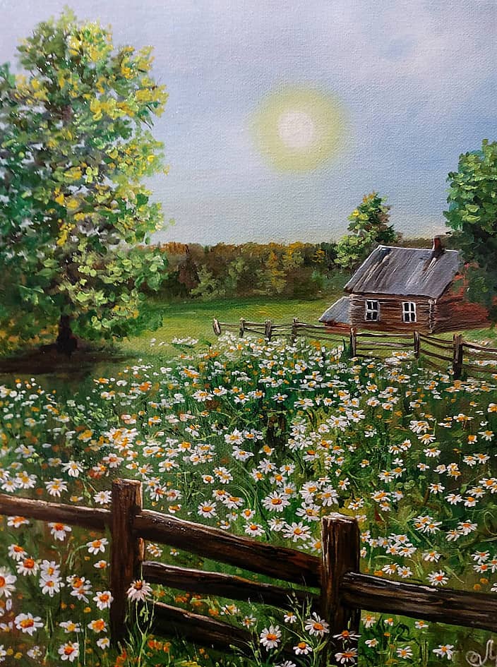 Ромашковое поле