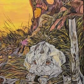 сентябрьский заяц