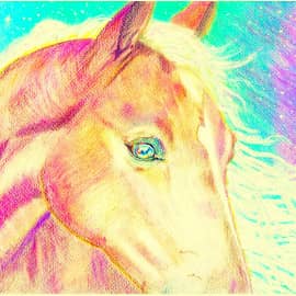 Небесная лошадь