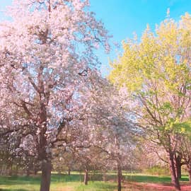 Весенняя дорога.