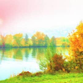 сквозь туман