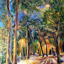 Вечерний сосняк