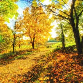 солнечные дни-2