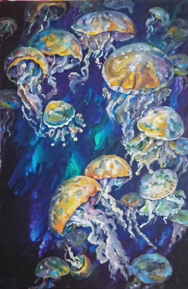 Прозрачные медузы