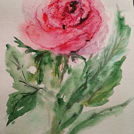 Просто роза