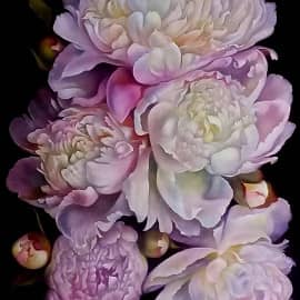 Пионовый настрой, нот нежности волнение!