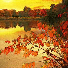 Осенние пейзажи-7