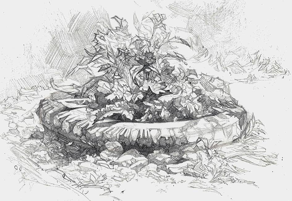 Летнее утро